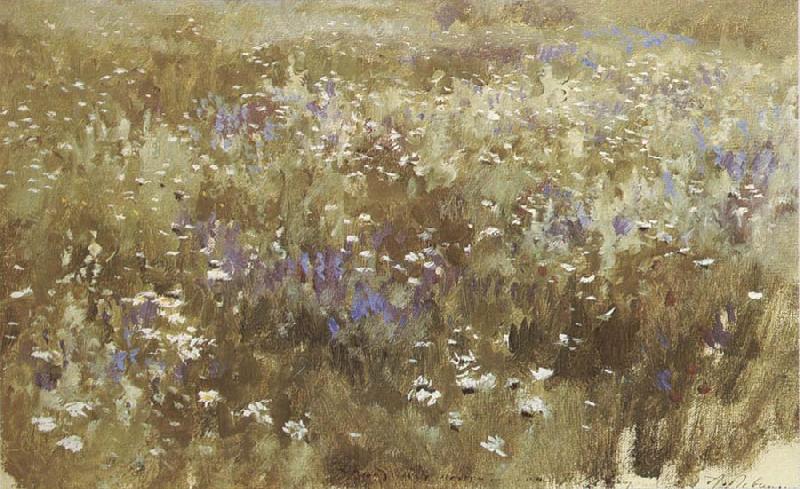 Levitan, Isaak Bluhende meadow France oil painting art